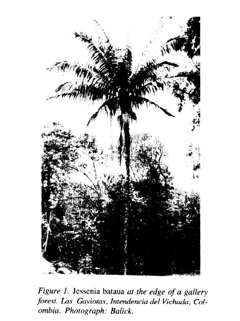 vol1no2.001