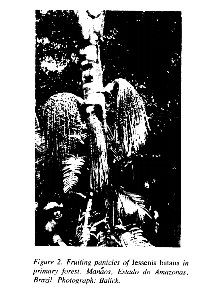 vol1no2.002
