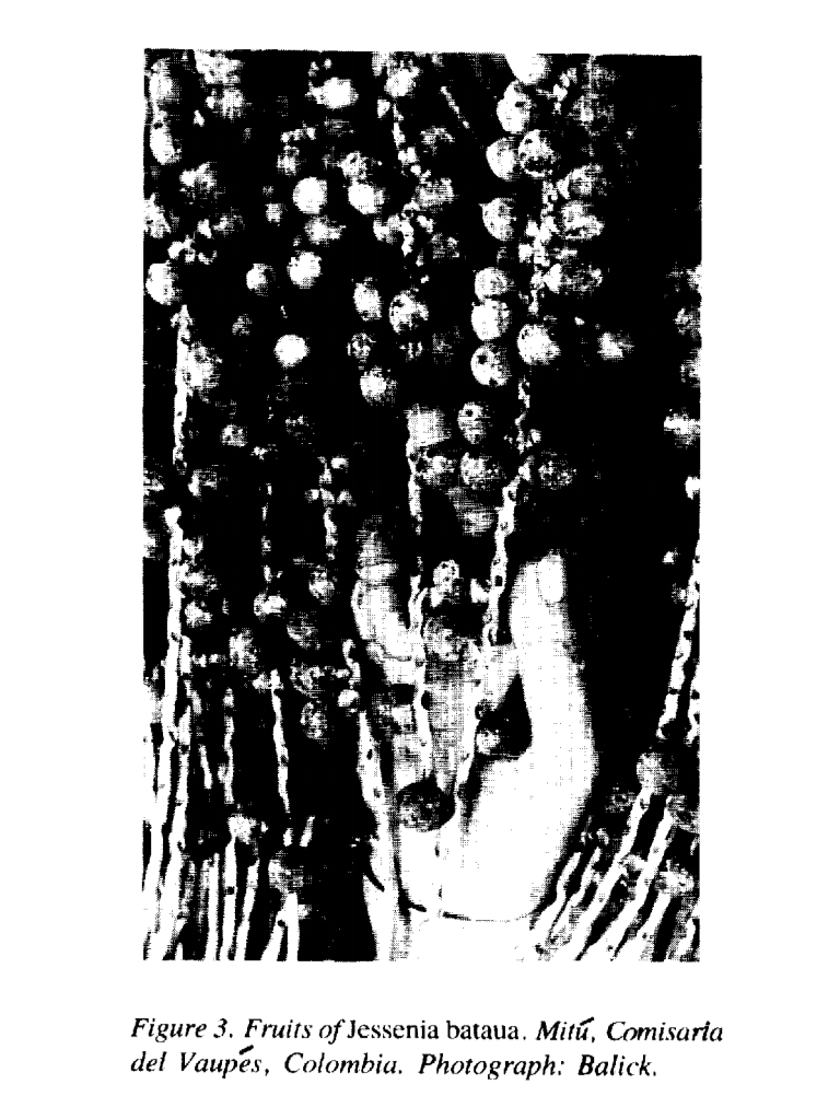 vol1no2.003