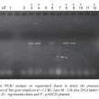 Opera Snapshot_2021-03-10_184143_palmoilis.mpob.gov.my