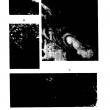 Opera Snapshot_2021-03-19_095511_jopr.mpob.gov.my