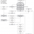Opera Snapshot_2021-03-25_001515_jopr.mpob.gov.my
